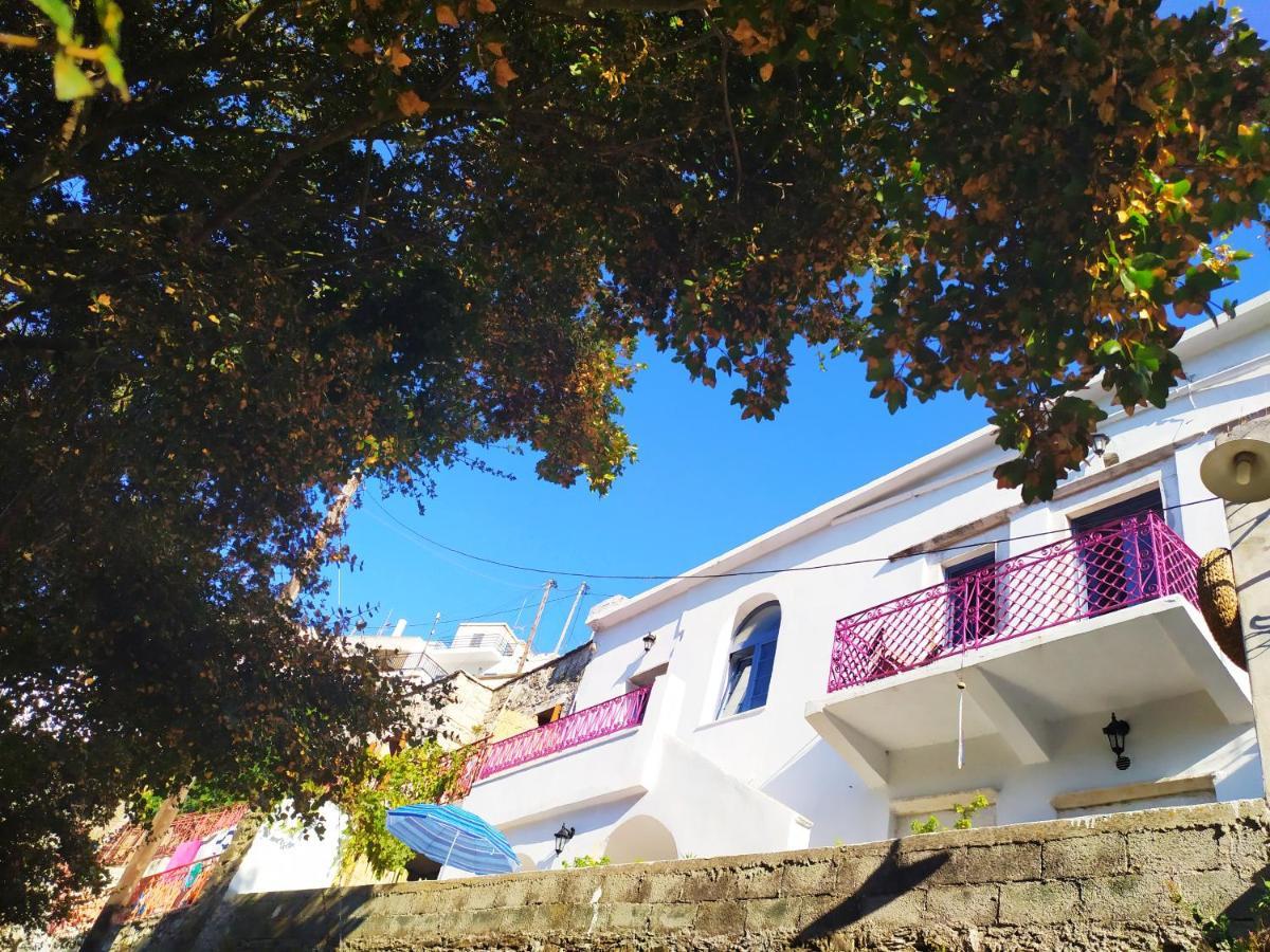 Traditional Family House, Ground Floor With Yard Koronos Esterno foto